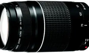 Obiektyw 75-300mm: Do jakich zdjęć? Sprawdź możliwości!