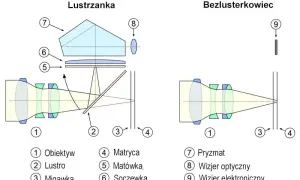 Lustrzanka czy bezlusterkowiec? Który aparat wybrać? Poradnik