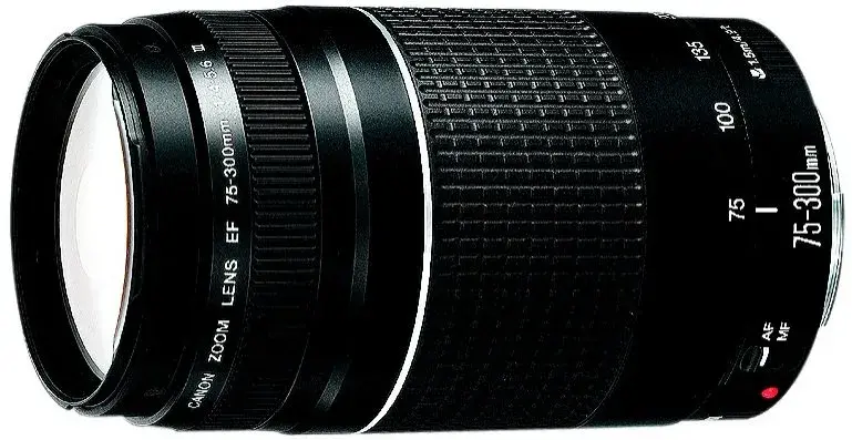 Obiektyw 75-300mm: Do jakich zdjęć? Sprawdź możliwości!