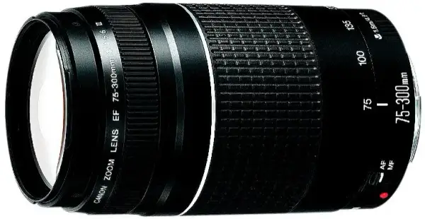 Obiektyw 75-300mm: Do jakich zdjęć? Sprawdź możliwości!